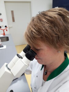hoe analytisch ben jij op je eigen werkhouding?